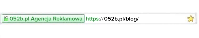 Zielony pasek adresu z certyfikatem SSL EV dla firm i organizacji